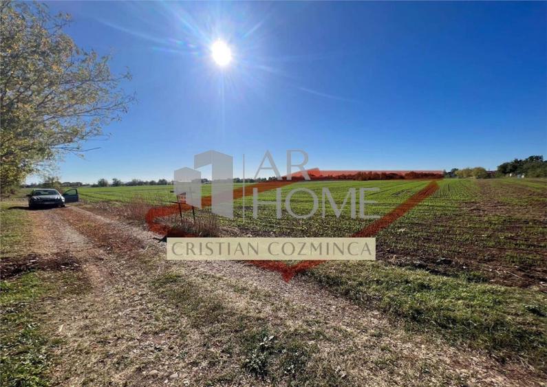 Teren 5400 MP intravilan, Baicoi - 2