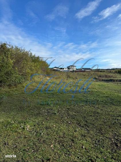 Teren extravilan 1829 mp front la strada 13.28 m zona Fanate - 2