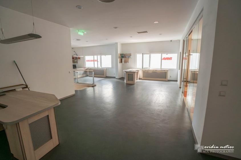 Hale cu deschidere la drumul european - 9