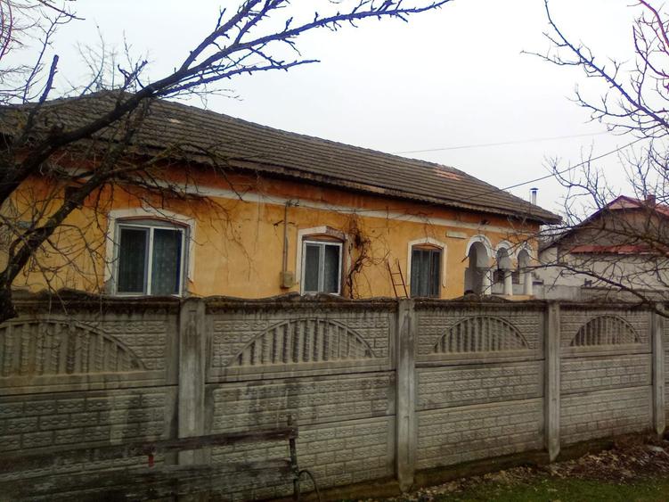 Casa cu teren 4500 mp - 6