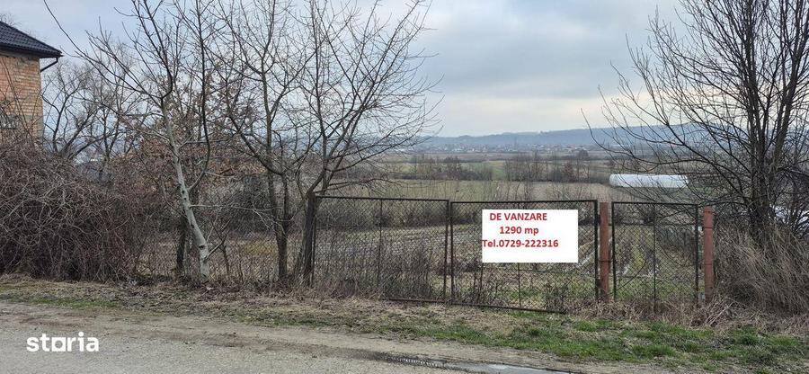 Teren de vanzare, 1290 mp, Coltau Maramures - 2