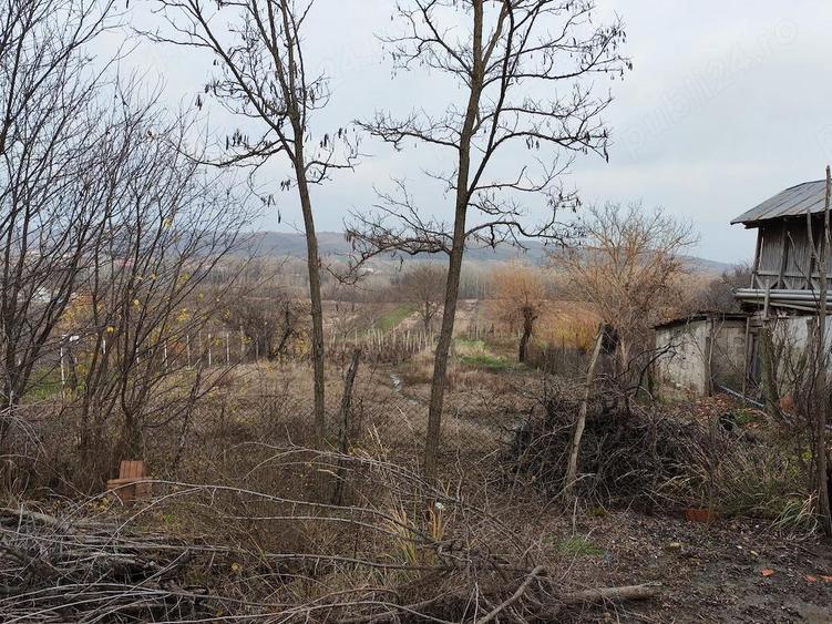 Casa batraneasca Sutesti - 4