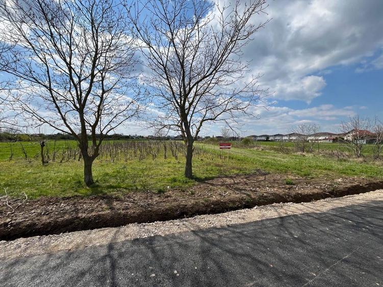 Teren intravilan cu dubla deschidere de 26 de metri !Branesti IF - 1