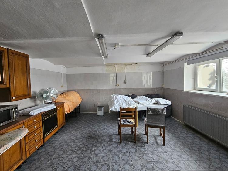 Casă individuală deosebită, P+D, Timișoara, zona Lipovei, aproape de Iulius Mall - 18