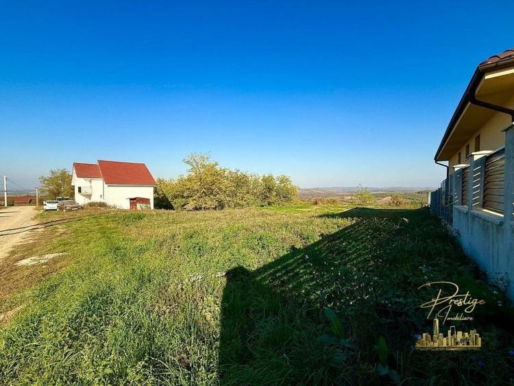 Teren Intravilan 1146 mp cu vedere panoramica de vanzare in Paleu - 3