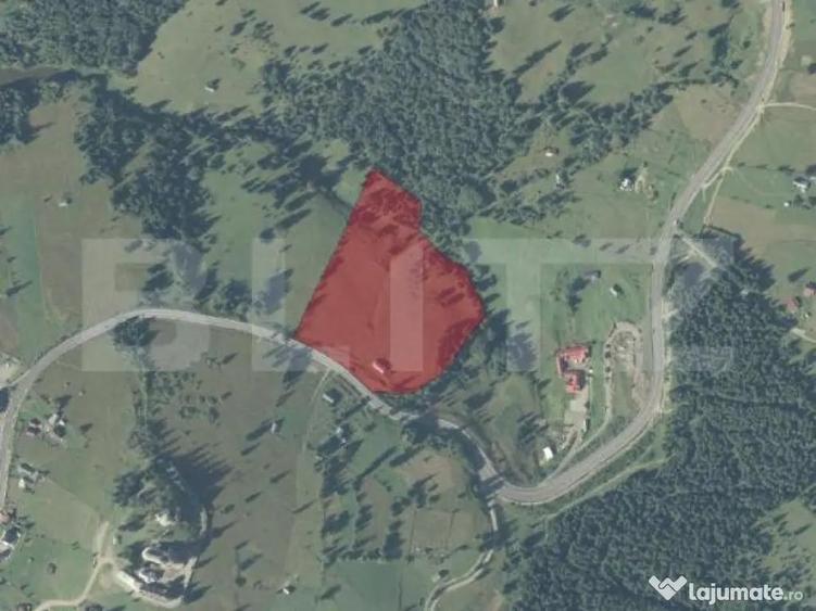 Teren intravilan de 3,8 H de vanzare, Piatra Fantanele - 4