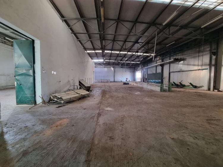 Hala 600 MP- Teren 15000-Otopeni-Centura Bucuresti - 3