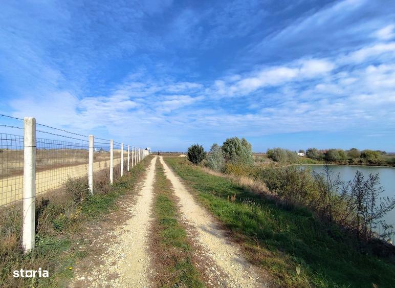 Balta de Pescuit | Cabana din Busteni | Teren 6,37 ha | langa Oradea - 5