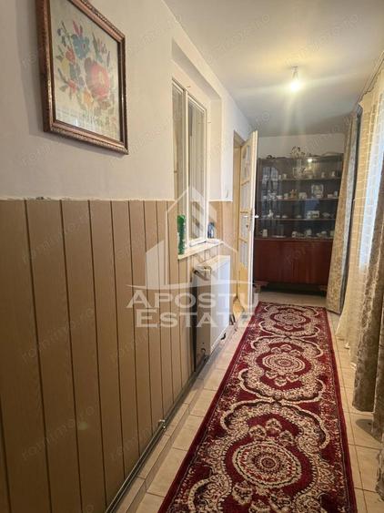 Casa individuala cu teren mare in Remetea Mare - 8