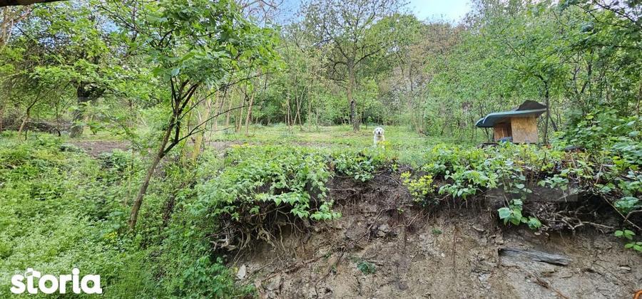 CASA 3 CAMERE DEVA ZONA PANORAMICA - 9