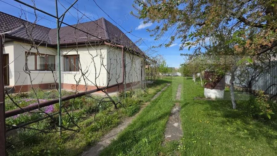 Teren cu Casa de Vanzare in Ungheni - 2