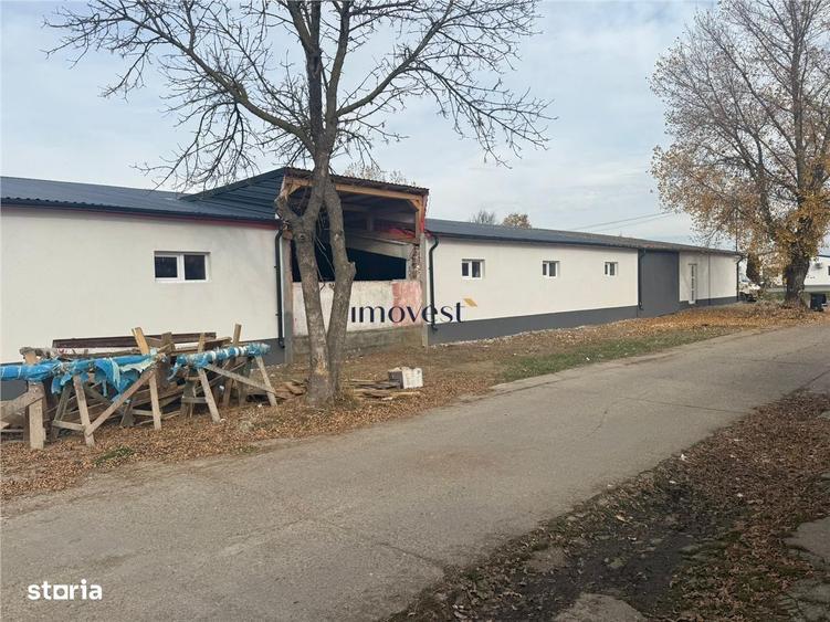 Hale industriale de inchiriat Parc industrial Careiului, Satu Mare - 4