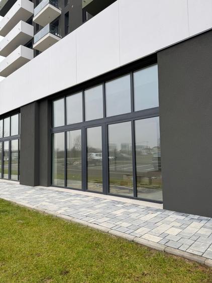 Spațiu comercial de închiriat – Torontal, lângă Lidl - 5