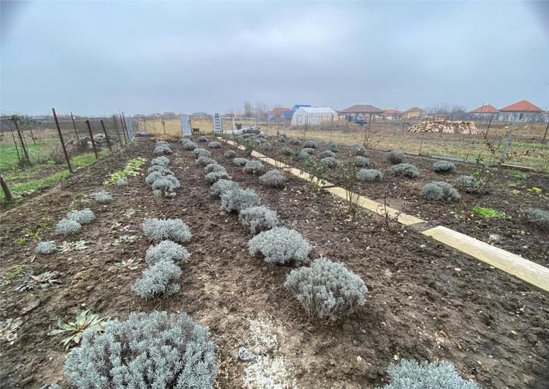 RECO Casa renovata Madaras - 10