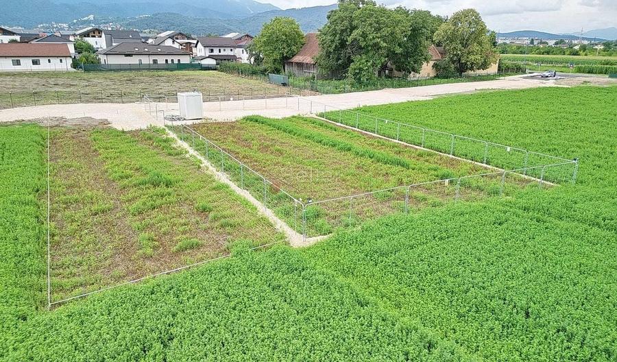 Teren Industrial - 11