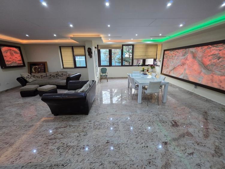 Timpuri Noi, 10 minute metrou, pe Cuza Voda, vila exclusivista P+1+M, lux, - 20