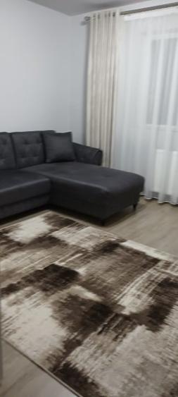 Inchiriez apartament cu 2 camere în Cluj Napoca - 2