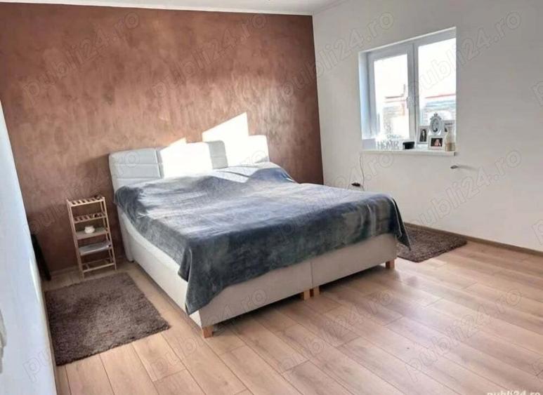 Vand casa + apartament in aceeasi curte - 2