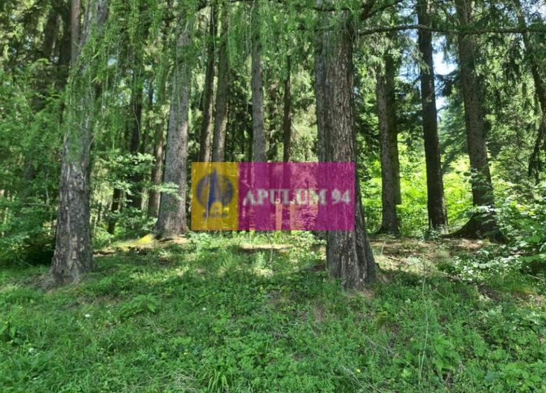 Teren de v&acirc;nzare &icirc;n Bușteni - Zona Zamora - 6