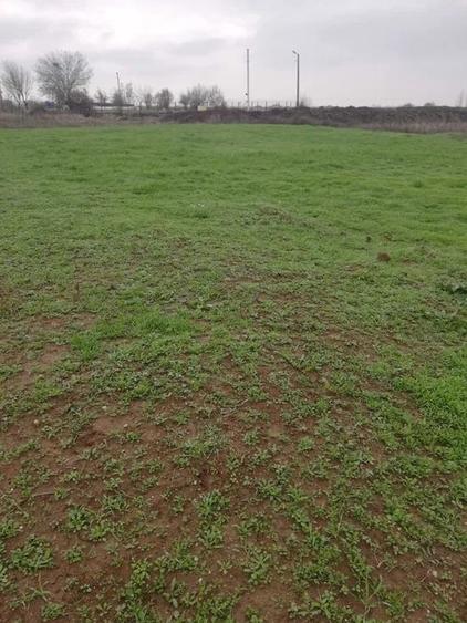 Teren intravilan Ghercesti - 1000mp - 1