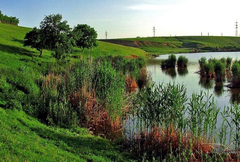 Se vinde una dintre cele mai cunoscute balti de pescuit 19ha de langa Bucuresti - 2