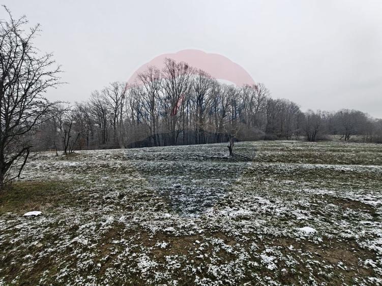 Teren 5,700mp Somcuta Mare / investitie cu potential major - 3