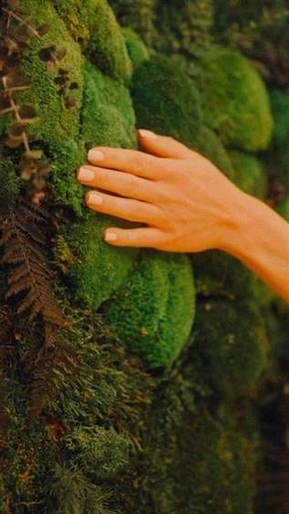 COMISION 0% SAD/Business la cheie SPA Dumbravita padure - 5