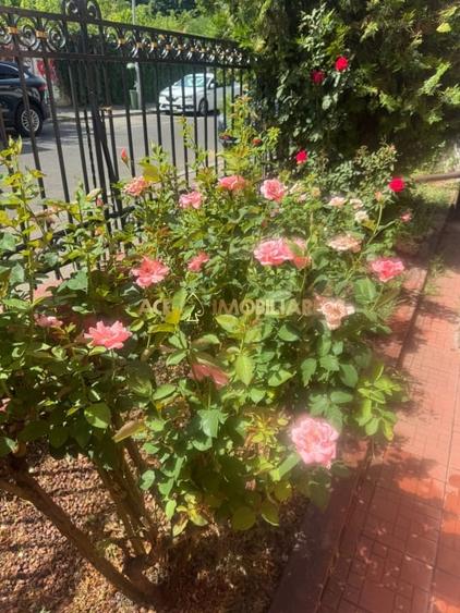 2 Camere de inchiriat | Cismigiu | Spatiu birouri | 62 mp - 9