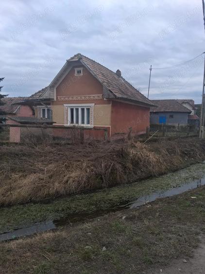 Vand casa la tara - 3