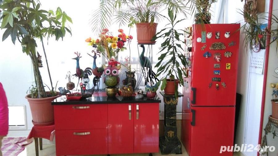 Imobil s+p+e+m si teren Dumbravita vatra veche de vinzare. - 6