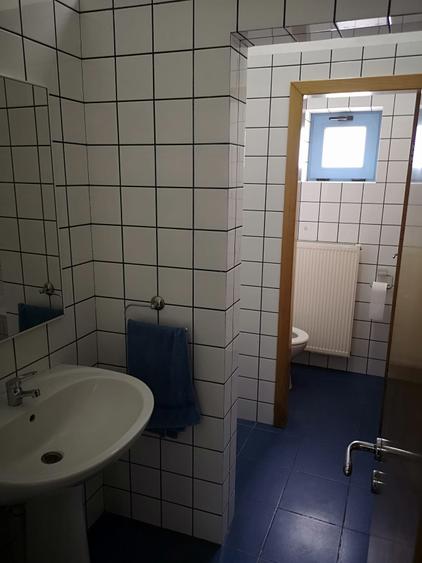 Spatiu de inchiriat, farmacie, showroom, clinica, salon, cofetarie, vad excelent - 8