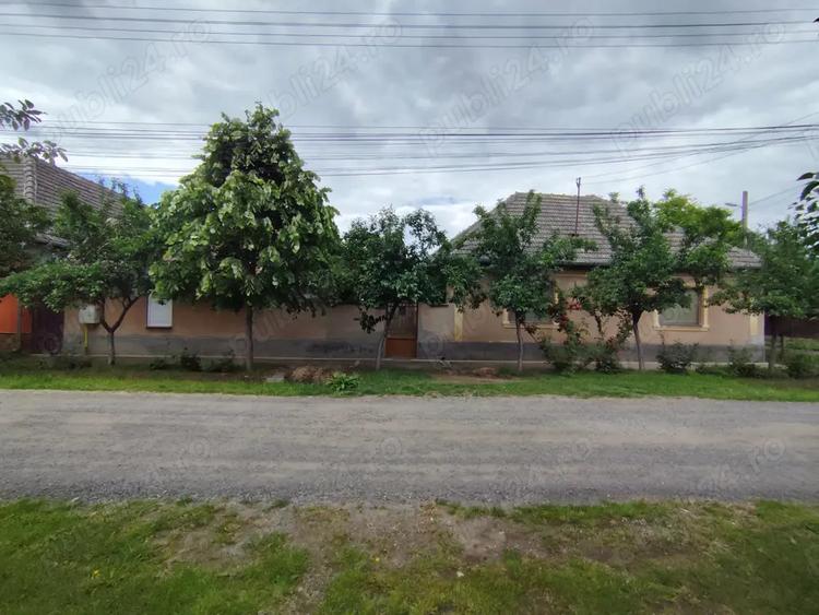 Casa de vanzare in Pecica - 6