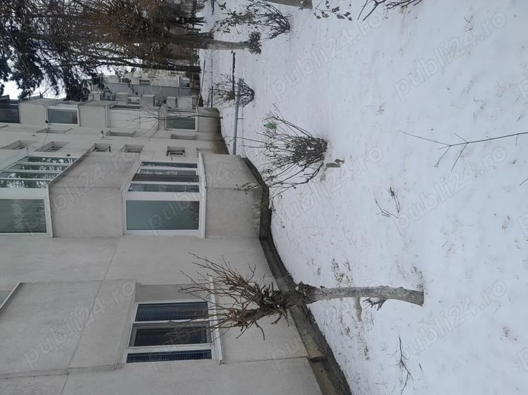 Vand apartament in G enescu - 5