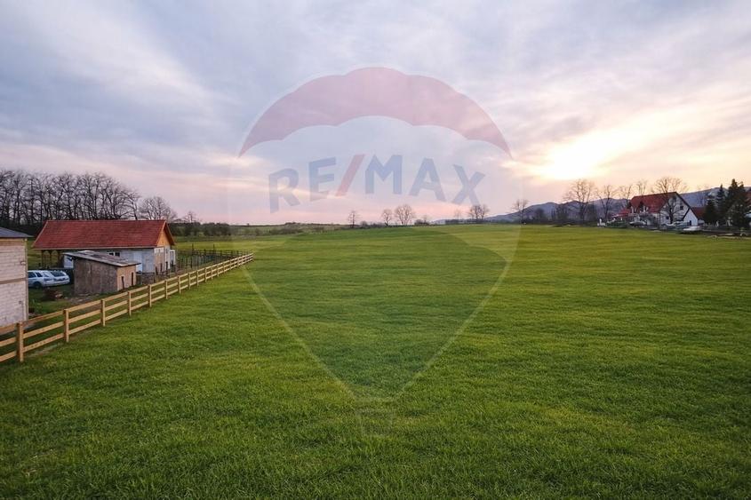 Teren de vanzare 4000 de mp Vintu de jos - 4