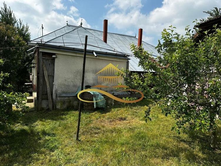 Casa batraneasca cu 2ha de teren de vanzare in sat Balaia / Bacau - 22