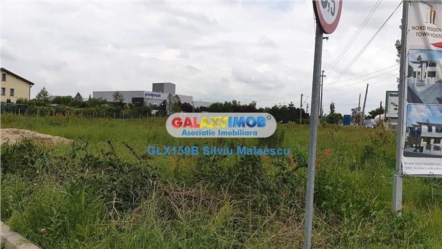 Mogosoaia 2.381 Mp FRF DN1A - 8