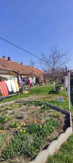 Apartament 1 camera Timi?oara de vanzare - 3