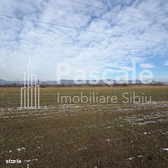 Teren De VanzareDn1, Intre Avrig Si Brasov | Potential Maxim - 4
