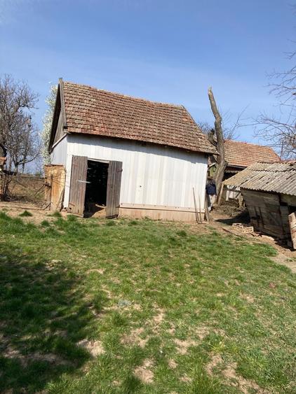 Casa traditionala de vanzare- Sauca, judetul Satu Mare - 1