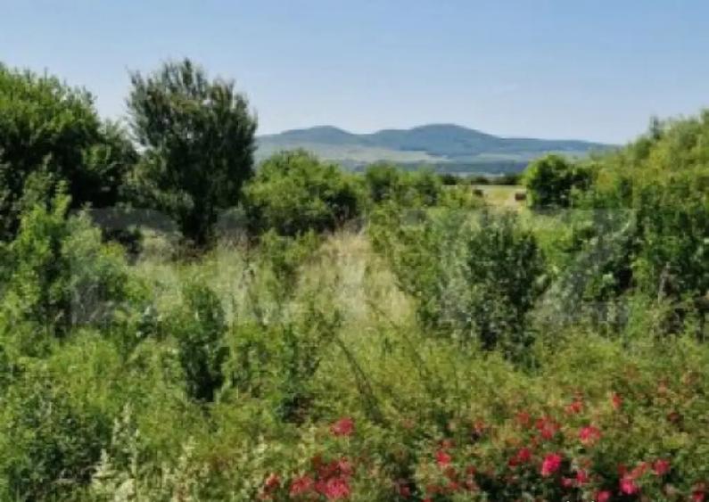 Teren intravilan de vanzare, 7000 mp, DN 17, zona Podirei - 3