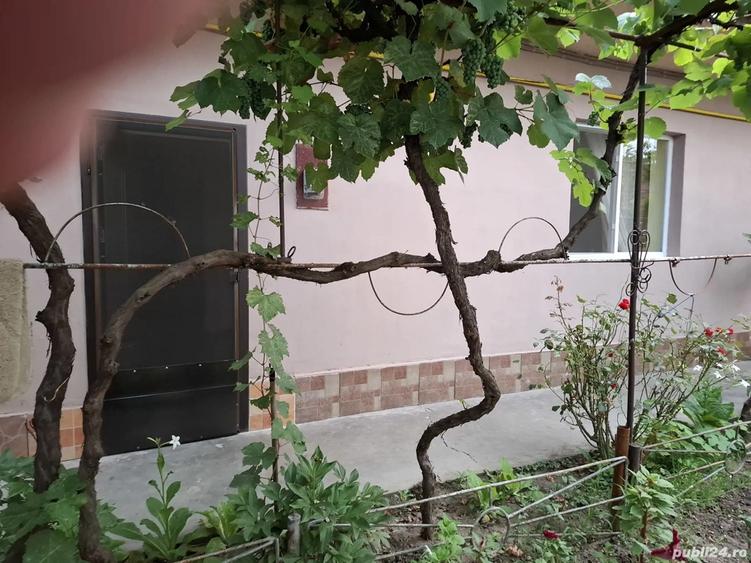 Inchiriez garsoniera - 4