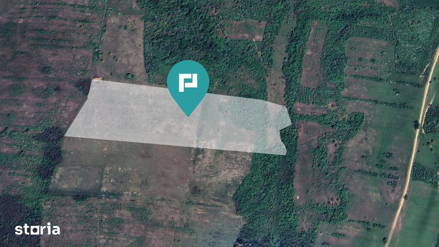 Teren arabil de 11,3 hectare in Bara, Timi? - 3