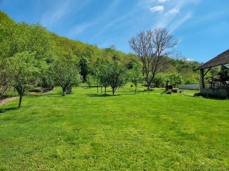 Casa de vanzare in Lesnic - 5