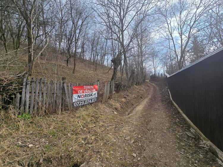 Oportunitate investitie teren  – Cerașu, Prahova | 3.485 mp | View spectaculos - 1