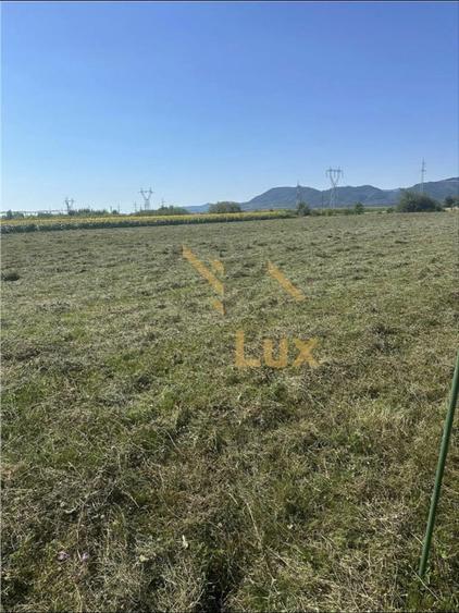 Teren extravilan, Oportunitate de investitii: hala, depozit, agrement - 4