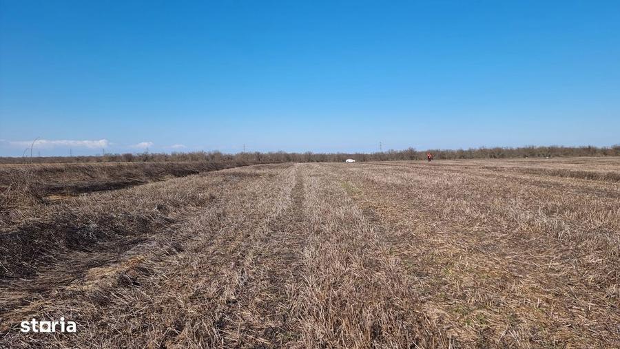 Ocazie- Teren Intravilan de Vanzare- Peris Snagov- Doar 9 euro/mp - 2