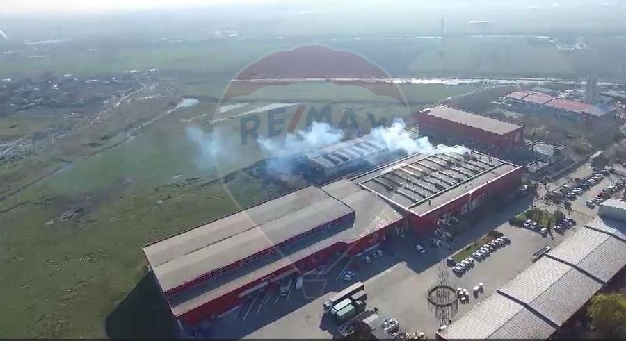 Hala productie & depozitare 9.317 mp | Pallady – Teclu - 3