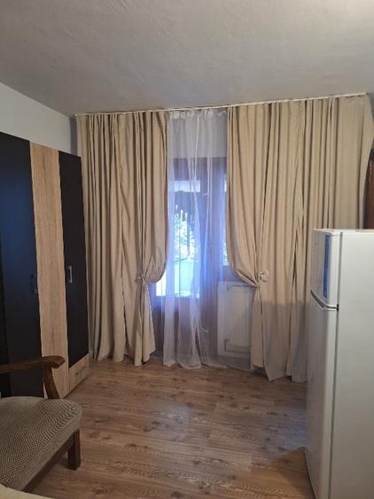 Garsonieră decomandată în Buziașului