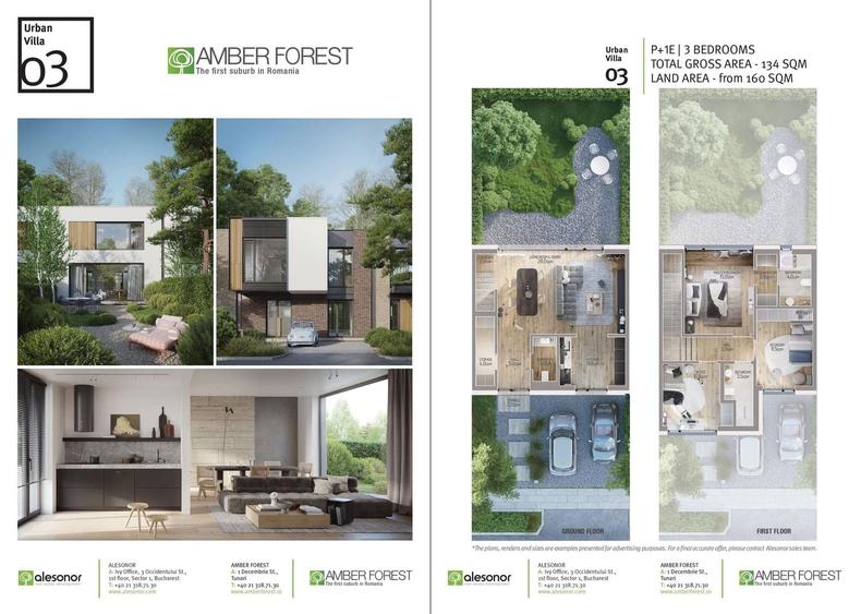 Casă cu 4 camere cu Piscina în Tunari