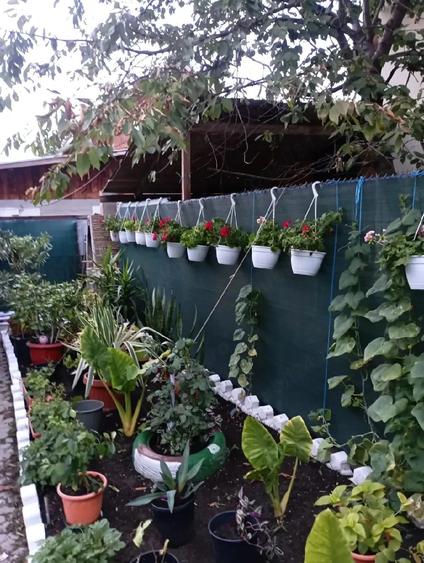 Casă cu 4 camere cu Teren 475 Mp în Central